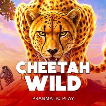 Cheetah Wild